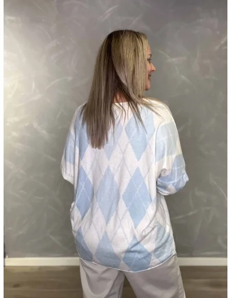 Bagside af sky forårs strik med harlekin tern – TIPPY
