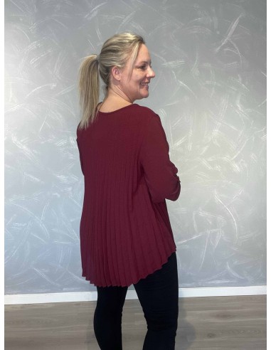 Bagside af bordeaux plissébluse til kvinder – TIPPY
