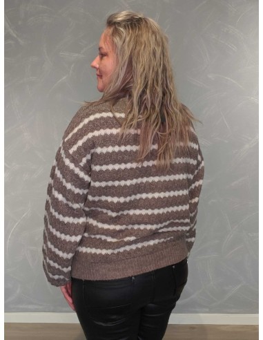 Bagside af Taupe stribet strik til kvinder – TIPPY