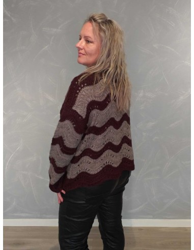 Bagside af bordeaux/taupe strikcardigan til kvinder – TIPPY