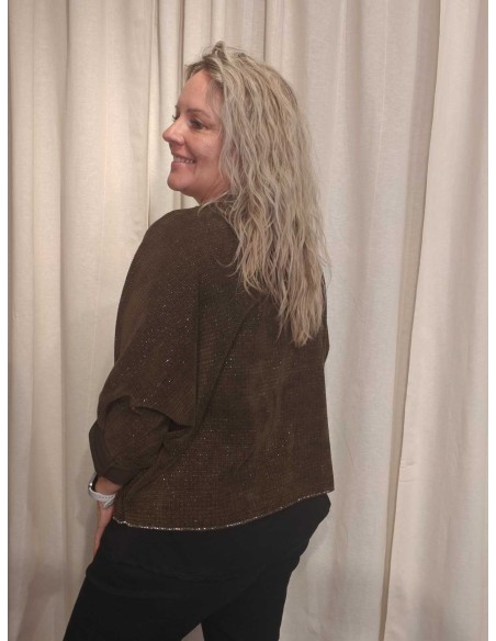 Bagside af brun fløjlsbluse med glimmer til kvinder – TIPPY